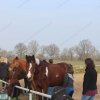 01.04. Basispasslehrgang