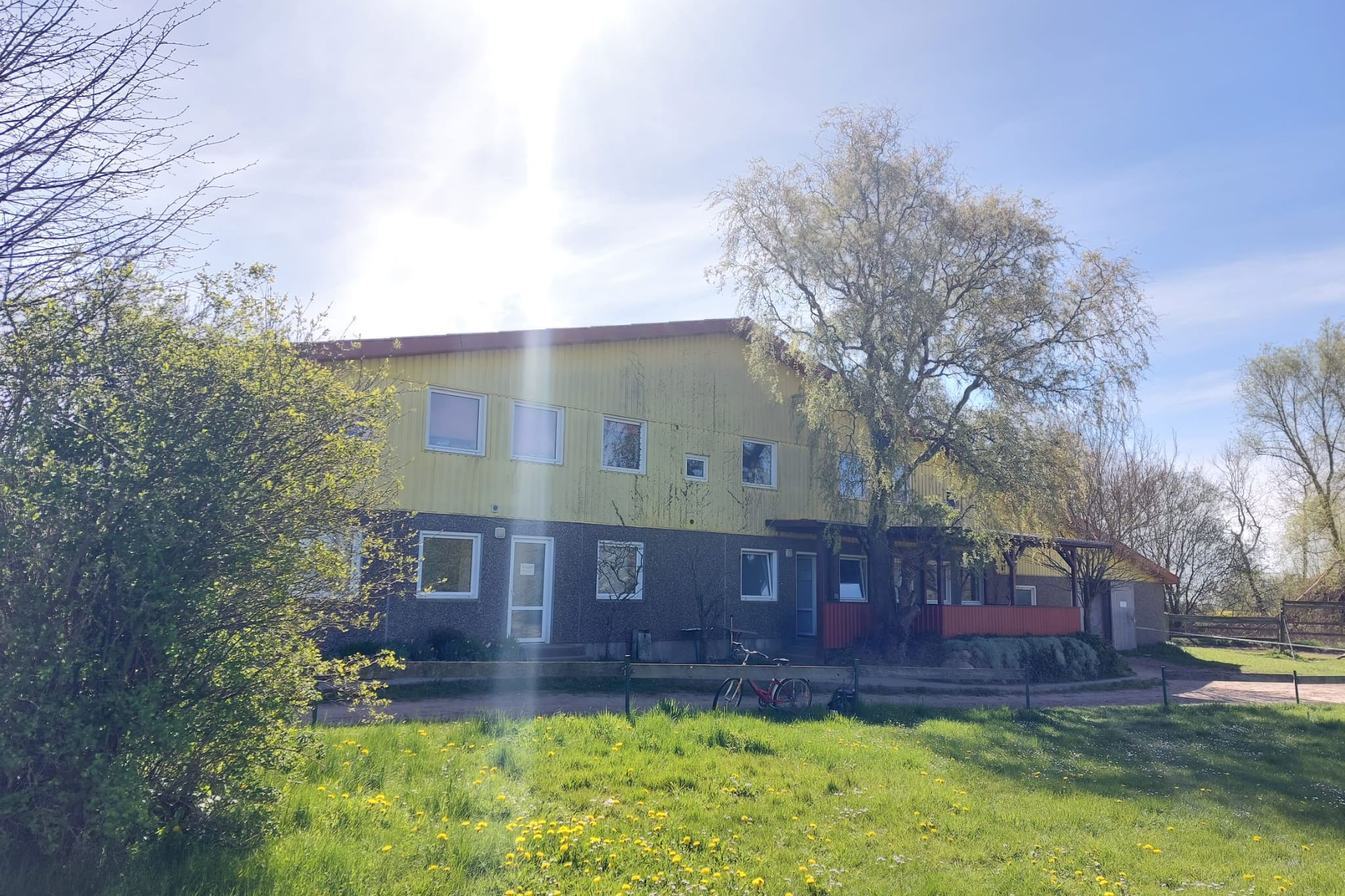 Reiten Rostock, Freitzeitreiten Rostock, Ausreiten, Gelände reiten, Pemsionsstall Rostock, Pferde, Reitstall, Reitverein