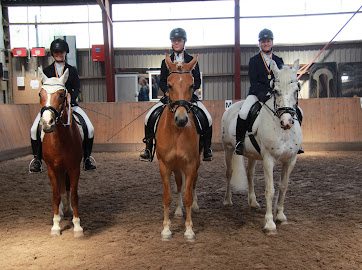 Turniere reiten Rostock, Turniersport, Reitverein, Pferdesport, Hof Bohm, Springreiten, Reitertag,