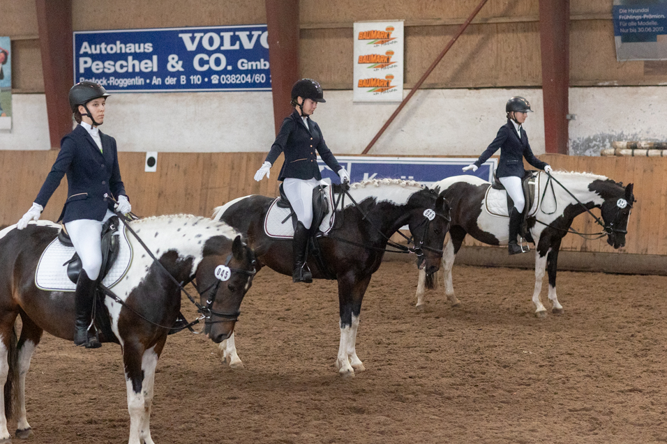 Turniere reiten Rostock, Turniersport, Reitverein, Pferdesport, Hof Bohm, Springreiten, Reitertag,